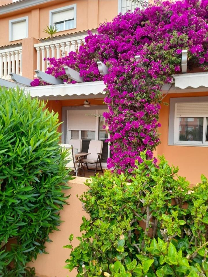 Apartamento Premium En Planta Baja Junto Al Parador Y Playa Del Arenal Шабія Екстер'єр фото